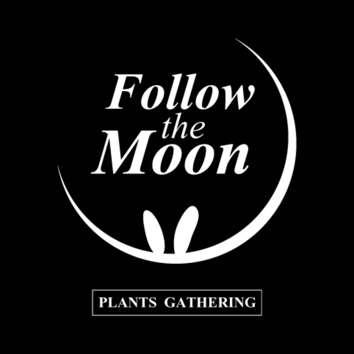 法洛勒姆 Follow  the Moon